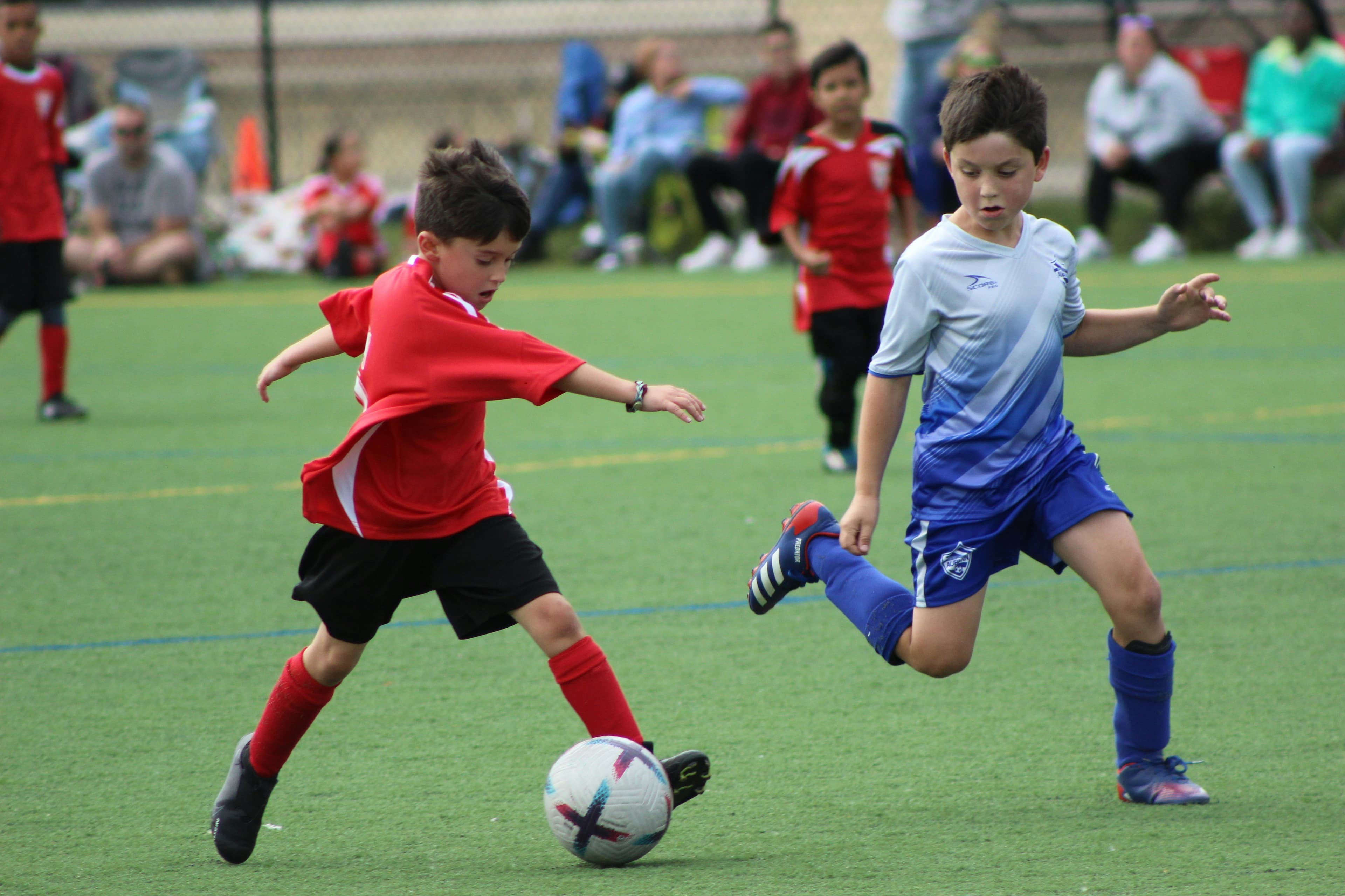 Tournament photo by Photo by Debra Brewster via Unsplash